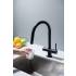 _wysyłka 24H*_ | Bateria BLUE WATER CYRUS FILTER czarny mat | do wody filtrowanej (BW-5901730616606)