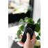 _RABAT_ | Okap przyścienny CIARKO DESIGN T-LIGHT 90 black | 740 m3/h (CDT9002C)